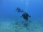 Hawaii Scuba divng 46