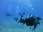 Hawaii Scuba divng 48