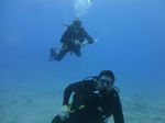 Hawaii Scuba divng 49