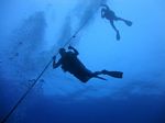 Hawaii Scuba divng 04