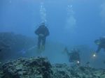 Hawaii Scuba divng 52