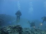 Hawaii Scuba divng 52