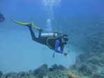 Hawaii Scuba divng 54