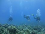 Hawaii Scuba divng 56