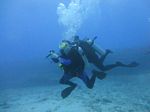 Hawaii Scuba divng 64