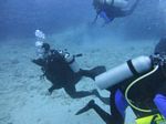 Hawaii Scuba divng 65