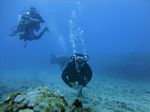 Hawaii Scuba divng 67