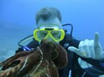 Hawaii Scuba divng 72