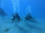 Hawaii Scuba divng 15