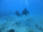 Hawaii Scuba divng 16