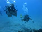 Hawaii Scuba divng 17