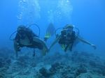 Hawaii Scuba divng 19