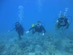 Hawaii Scuba divng 23