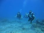 Hawaii Scuba divng 24