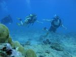 Hawaii Scuba divng 25