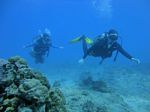 Hawaii Scuba divng 26