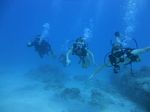 Hawaii Scuba divng 27