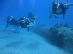 Hawaii Scuba divng 28