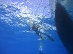 Hawaii Scuba divng 32