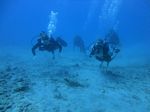 Hawaii Scuba divng 37