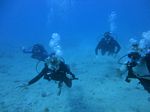 Hawaii Scuba divng 38