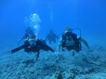 Hawaii Scuba divng 39