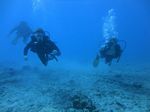 Hawaii Scuba divng 41