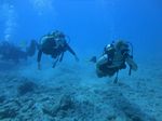 Hawaii Scuba divng 42