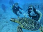 Hawaii Scuba divng 46