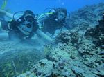 Hawaii Scuba divng 47