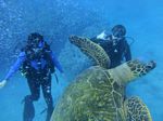 Hawaii Scuba divng 49