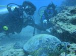 Hawaii Scuba divng 52