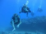 Hawaii Scuba divng 53