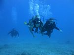 Hawaii Scuba divng 56