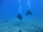 Hawaii Scuba divng 56