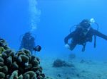 Hawaii Scuba divng 61