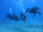 Hawaii Scuba divng 63