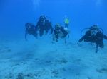 Hawaii Scuba divng 64