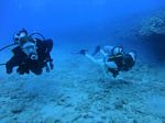 Oahu scuba 54