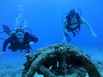 Oahu scuba 55