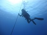 Hawaii Scuba divng 11