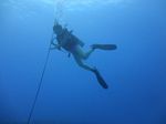 Hawaii Scuba divng 12