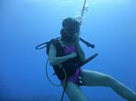 Hawaii Scuba divng 13