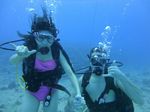 Hawaii Scuba divng 21