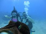 Hawaii Scuba divng 22