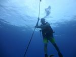 Hawaii Scuba divng 25