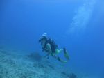 Hawaii Scuba divng 32