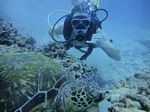 Hawaii Scuba divng 39