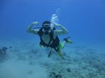 Hawaii Scuba divng 42