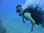 Hawaii Scuba divng 51